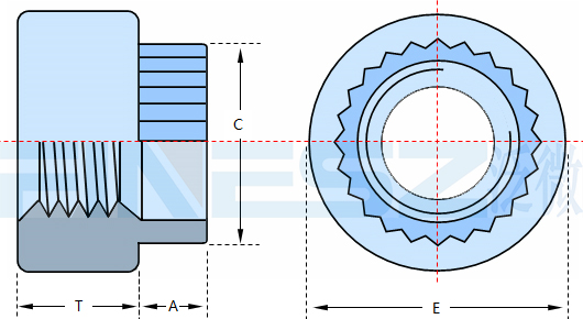 圆形涨铆螺母 Z ZS